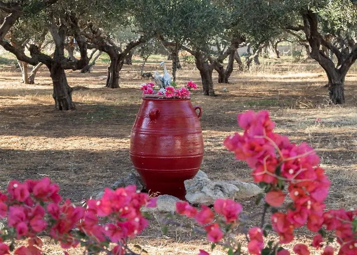 Xirouchakis Farm